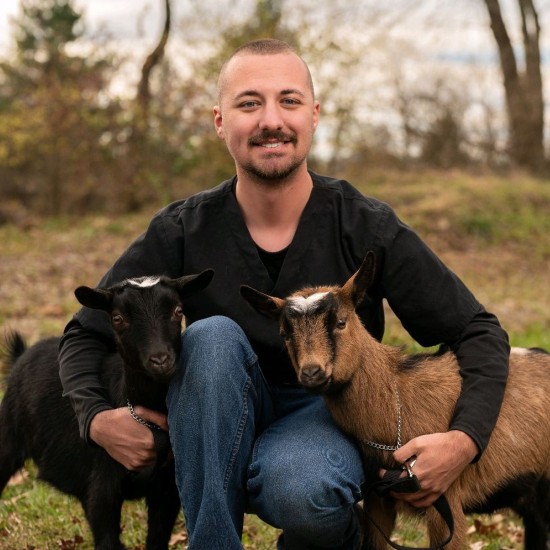 Wards Corner Animal Hospital