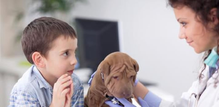 3 Essential Pet Vaccinations | Wards Corner Animal Hospital | Loveland, Ohio