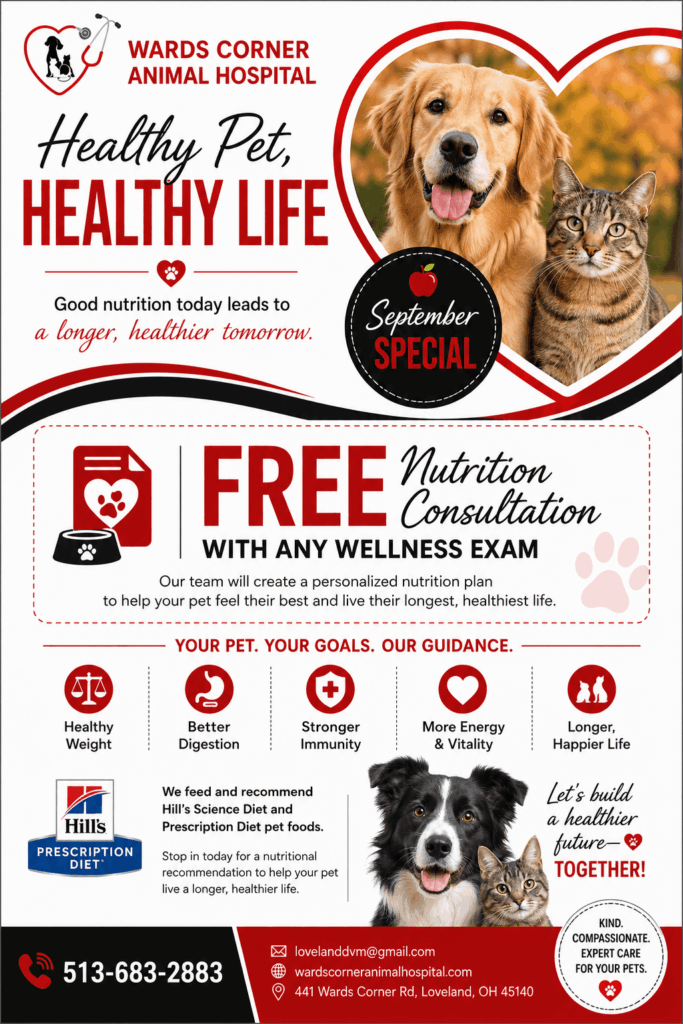 Wards Corner Animal Hospital