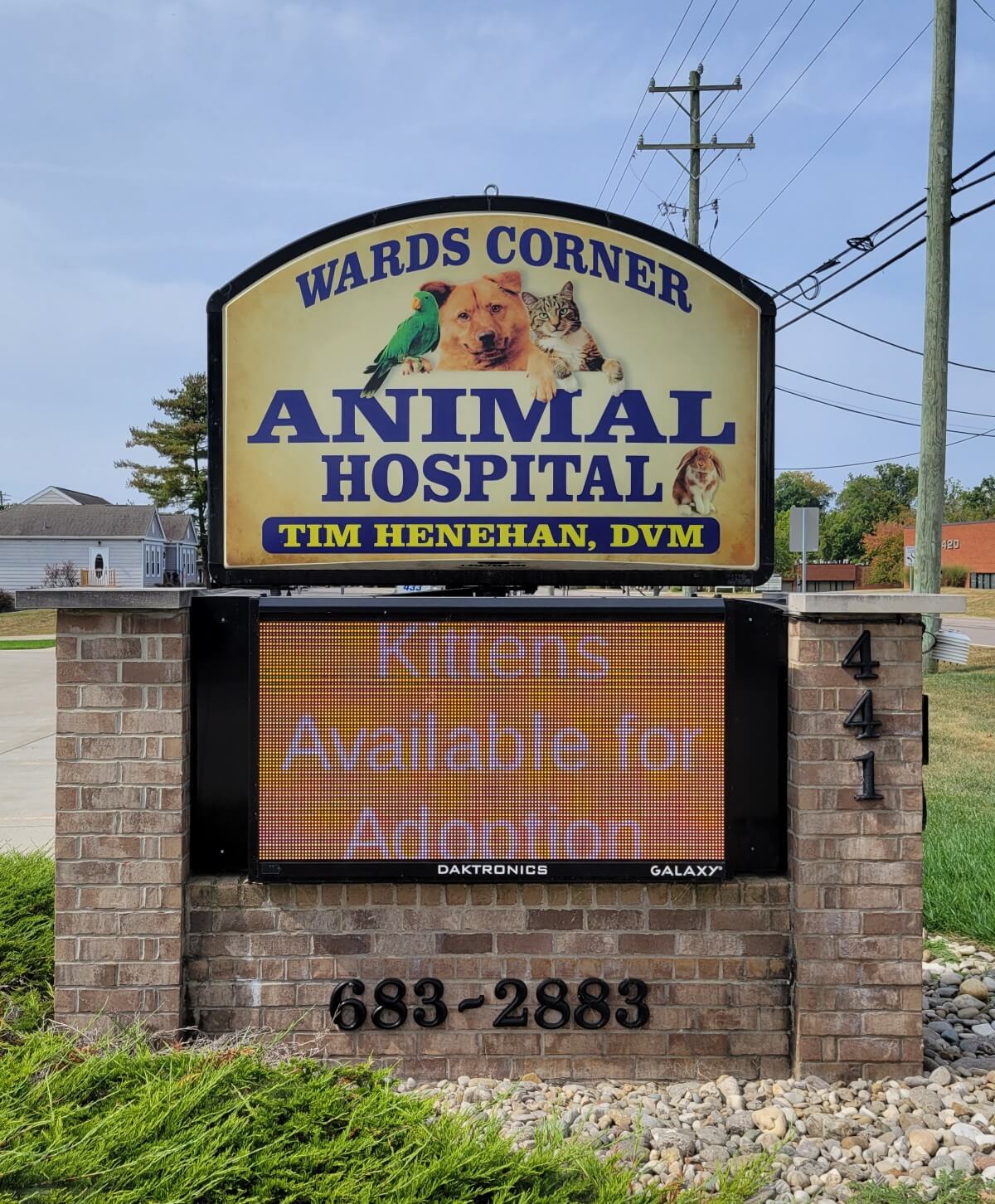 Wards Corner Animal Hospital